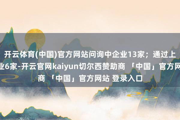 开云体育(中国)官方网站问询中企业13家；通过上市委会议企业6家-开云官网kaiyun切尔西赞助商 「中国」官方网站 登录入口