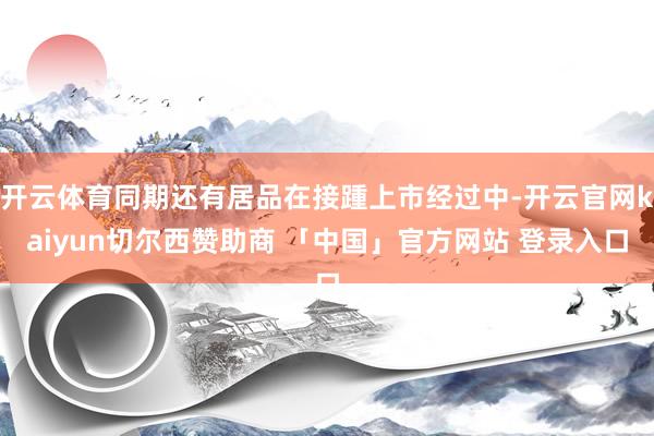 开云体育同期还有居品在接踵上市经过中-开云官网kaiyun切尔西赞助商 「中国」官方网站 登录入口