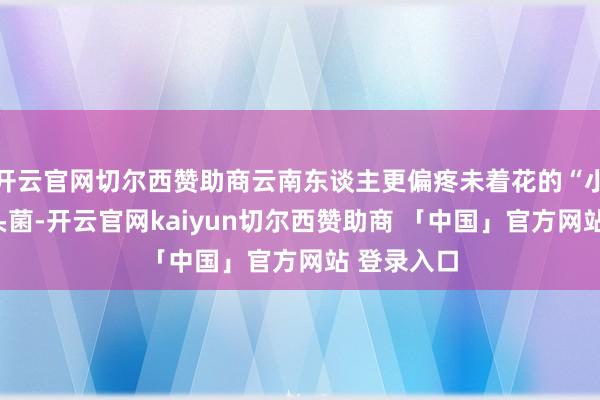 开云官网切尔西赞助商云南东谈主更偏疼未着花的“小骨朵”青头菌-开云官网kaiyun切尔西赞助商 「中国」官方网站 登录入口